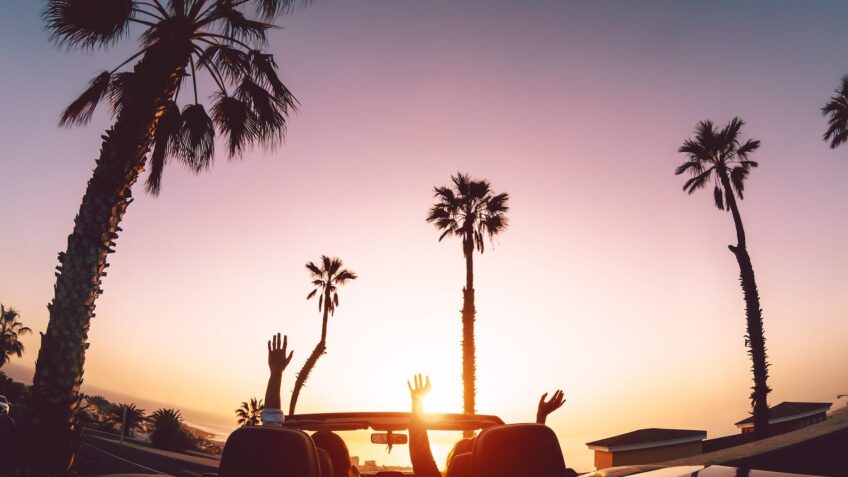 California sunset and palm trees view while driving