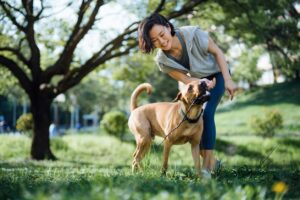 woman playing with dog in the park thinking about pet insurance