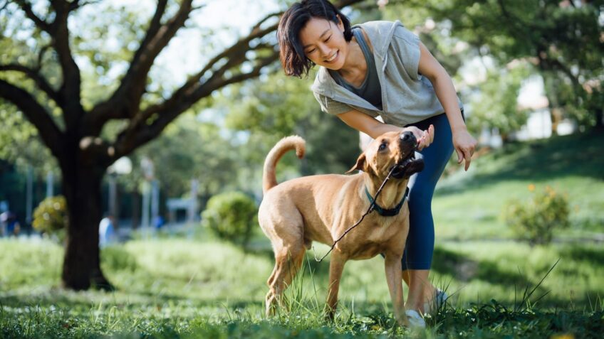woman playing with dog in the park thinking about pet insurance